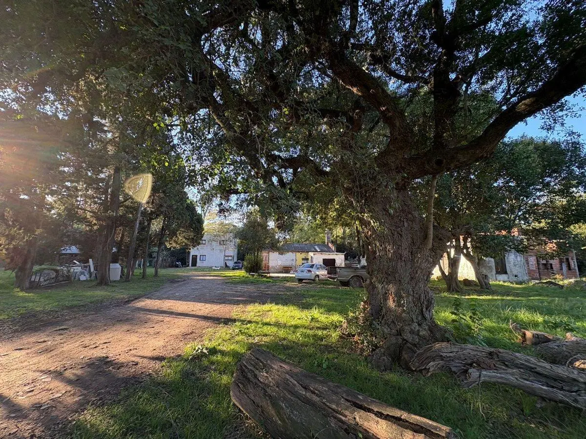 VENTA DE LOTE SAN MIGUEL DEL MONTE 6
