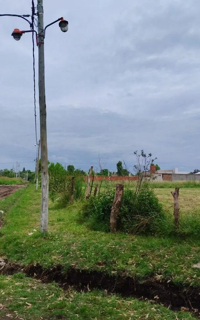 Venta Lote Jose Clemente Paz Industrial 1650m2 1