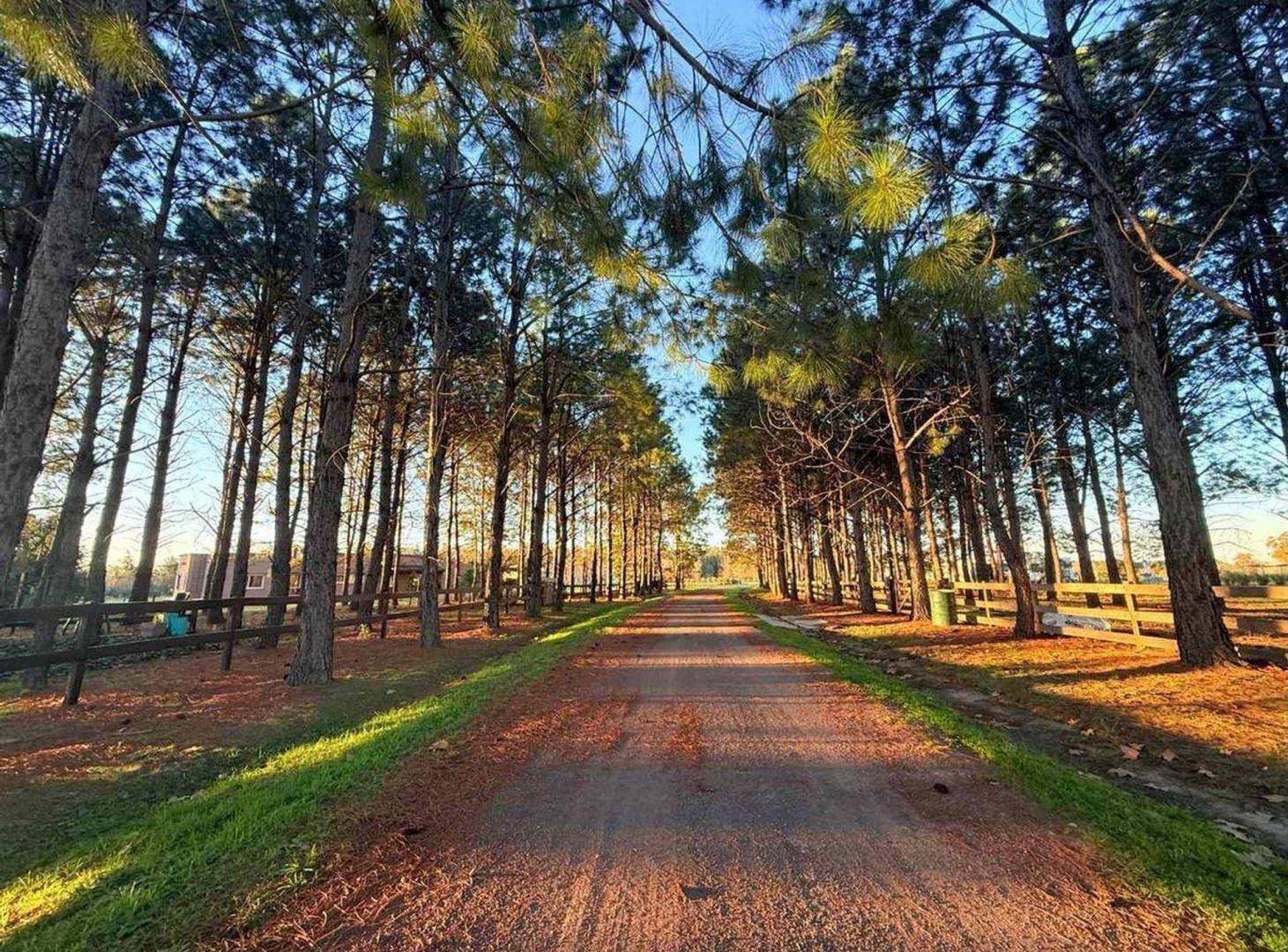 Foto de Venta Lote 1 Ha Estancia La Macarena Chacra, imagen 1