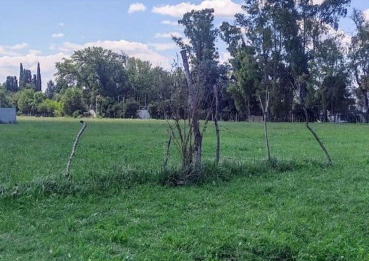 Foto de Venta Lote Jose Clemente Paz Industrial 1650m2, imagen 5