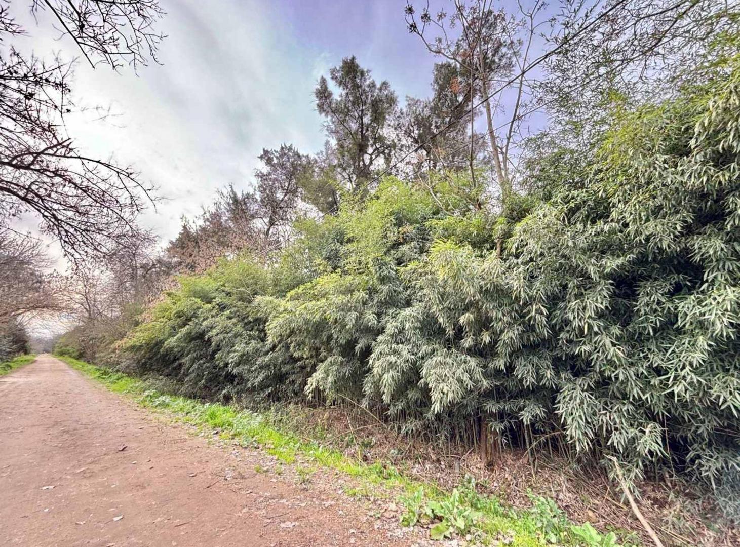 Foto de VENTA LOTE 5000 M2 PILAR PILARÁ A/COMERCIAL, imagen 5