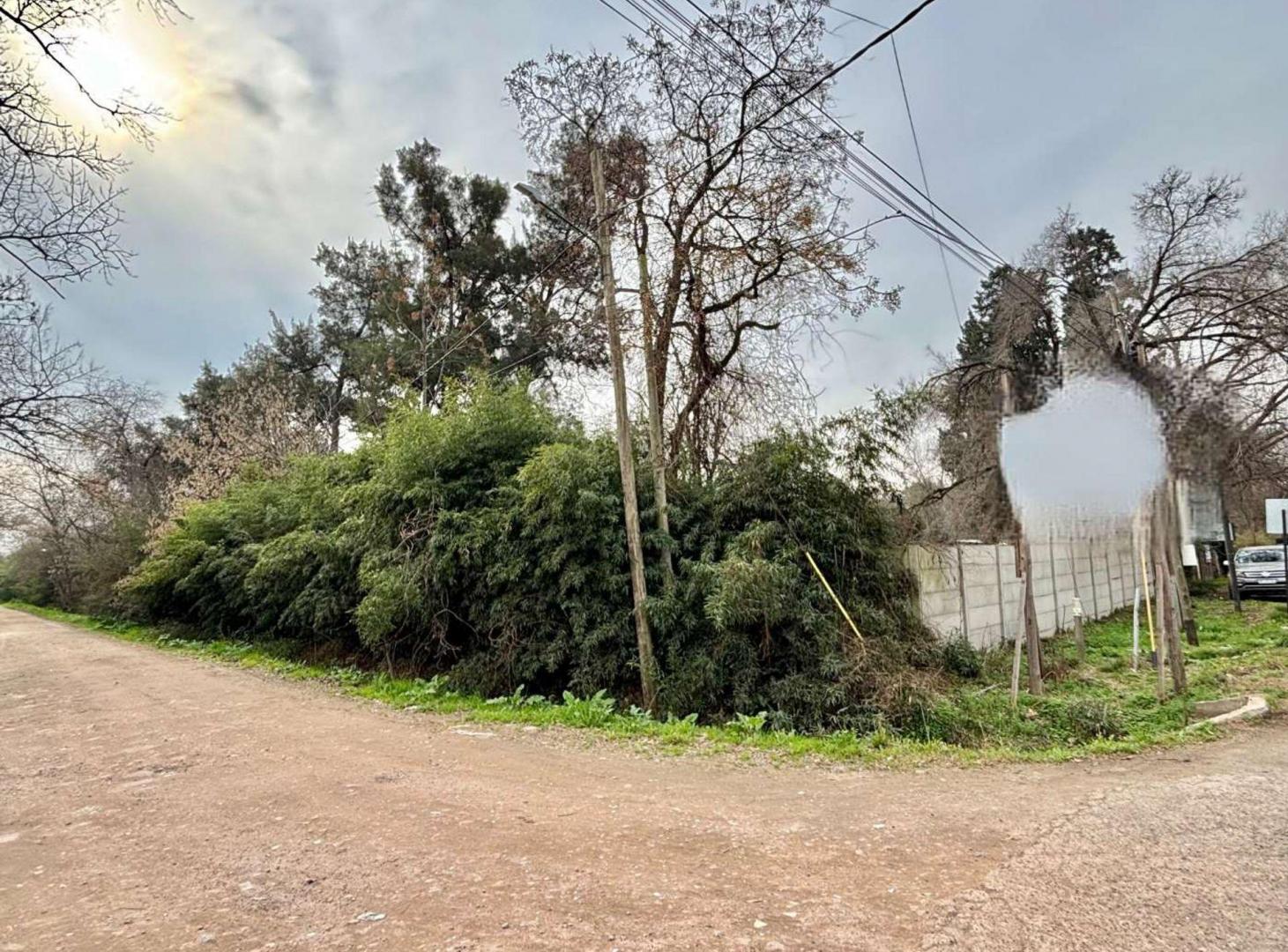 Foto de VENTA LOTE 5000 M2 PILAR PILARÁ A/COMERCIAL, imagen 1