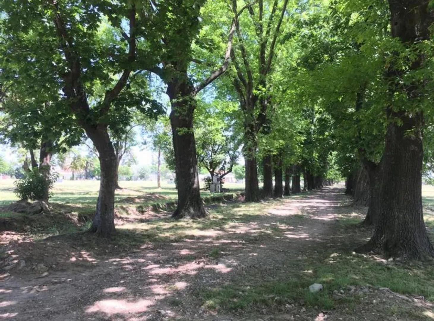 Foto de VENTA LOTE SAN MIGUEL BARRI ALTOS DE SAN JOSE, imagen 3