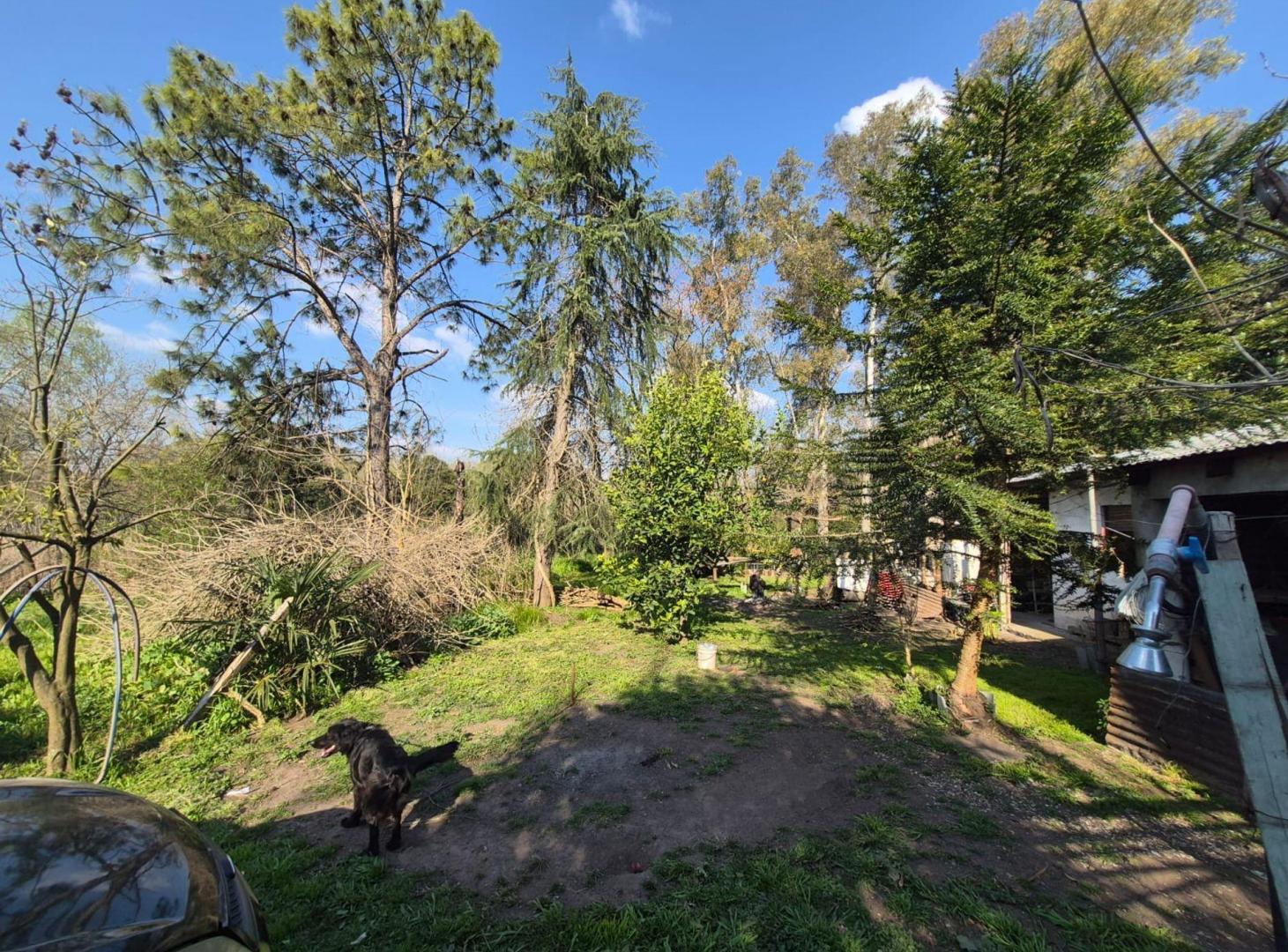 Foto de VENTA AMPLIO LOTE RUTA 3 KM 52 CAÑUELAS IDEAL INV, imagen 1