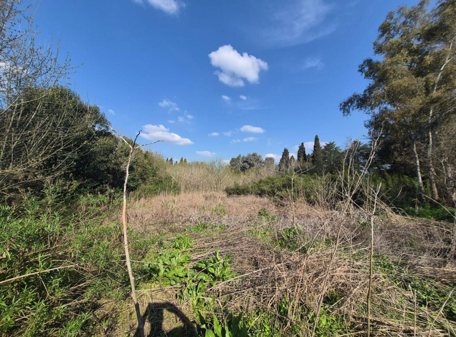 Foto de VENTA AMPLIO LOTE RUTA 3 KM 52 CAÑUELAS IDEAL INV, imagen 5
