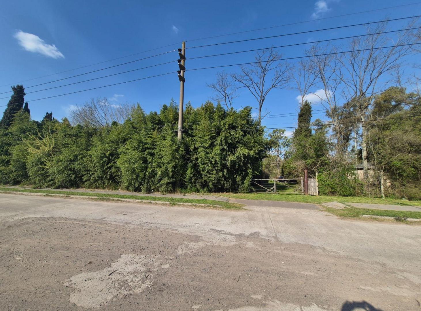 Foto de VENTA AMPLIO LOTE RUTA 3 KM 52 CAÑUELAS IDEAL INV, imagen 3