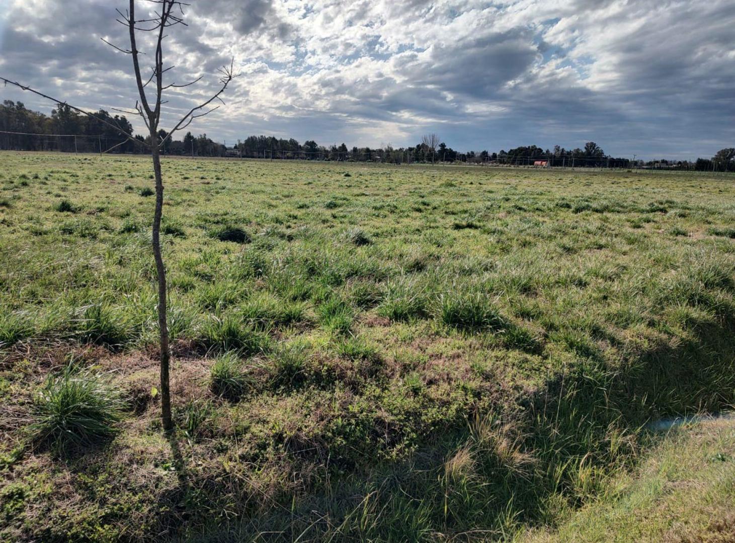 Foto de VENTA LOTE 2461m2 EN LOBOS BARRIO DON FELIPE, imagen 4