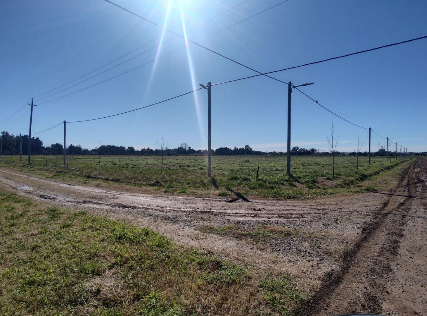 Foto de VENTA LOTE 2461m2 EN LOBOS BARRIO DON FELIPE, imagen 5