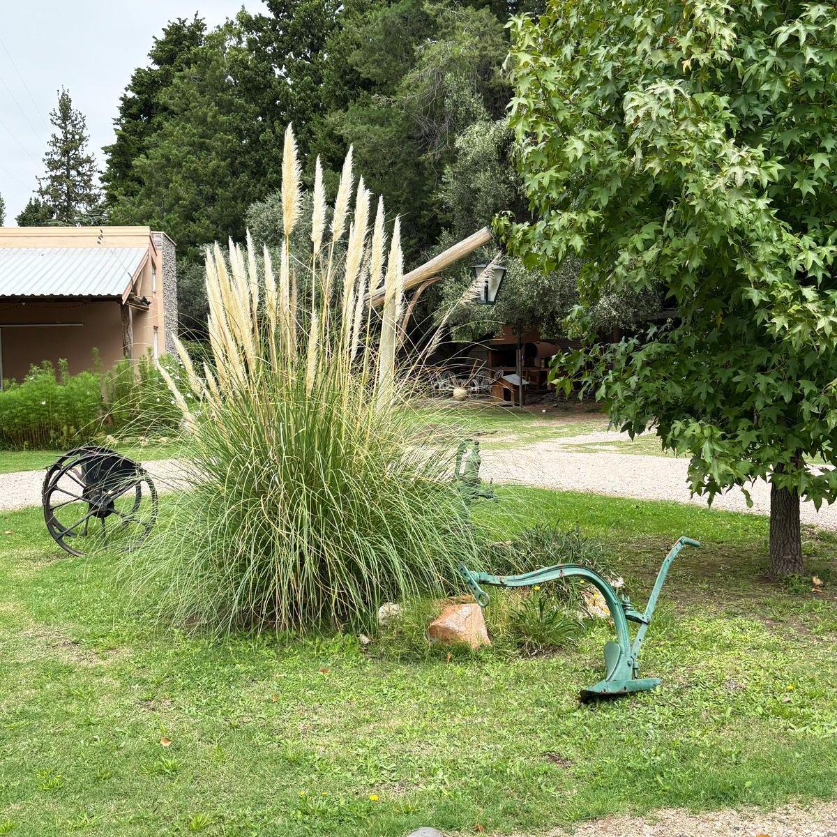 Venta. Complejo de 3 Cabañas y Casa Principal. Rama Caida, San Rafael, Mendoza 5