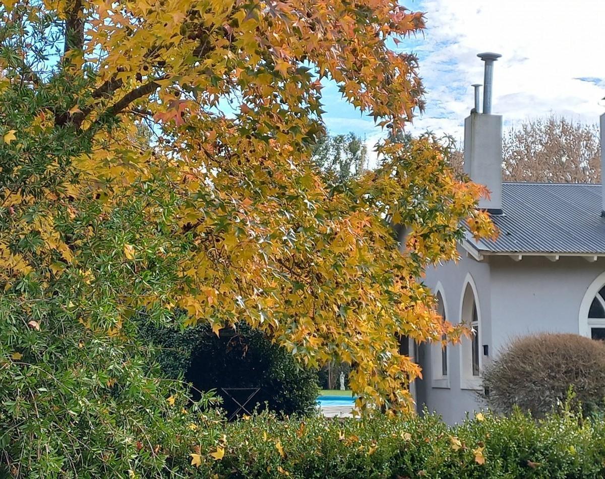 Venta de Casa de 6 Ambientes con Parque y Pileta en Campos de Roca I , Brandsen