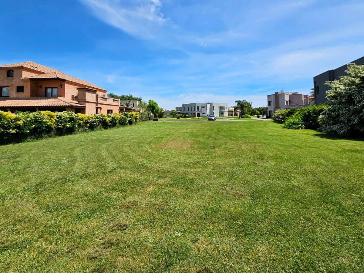 Foto de BARRIO LOS ROBLES – HARAS SANTA MARÍA, imagen 5