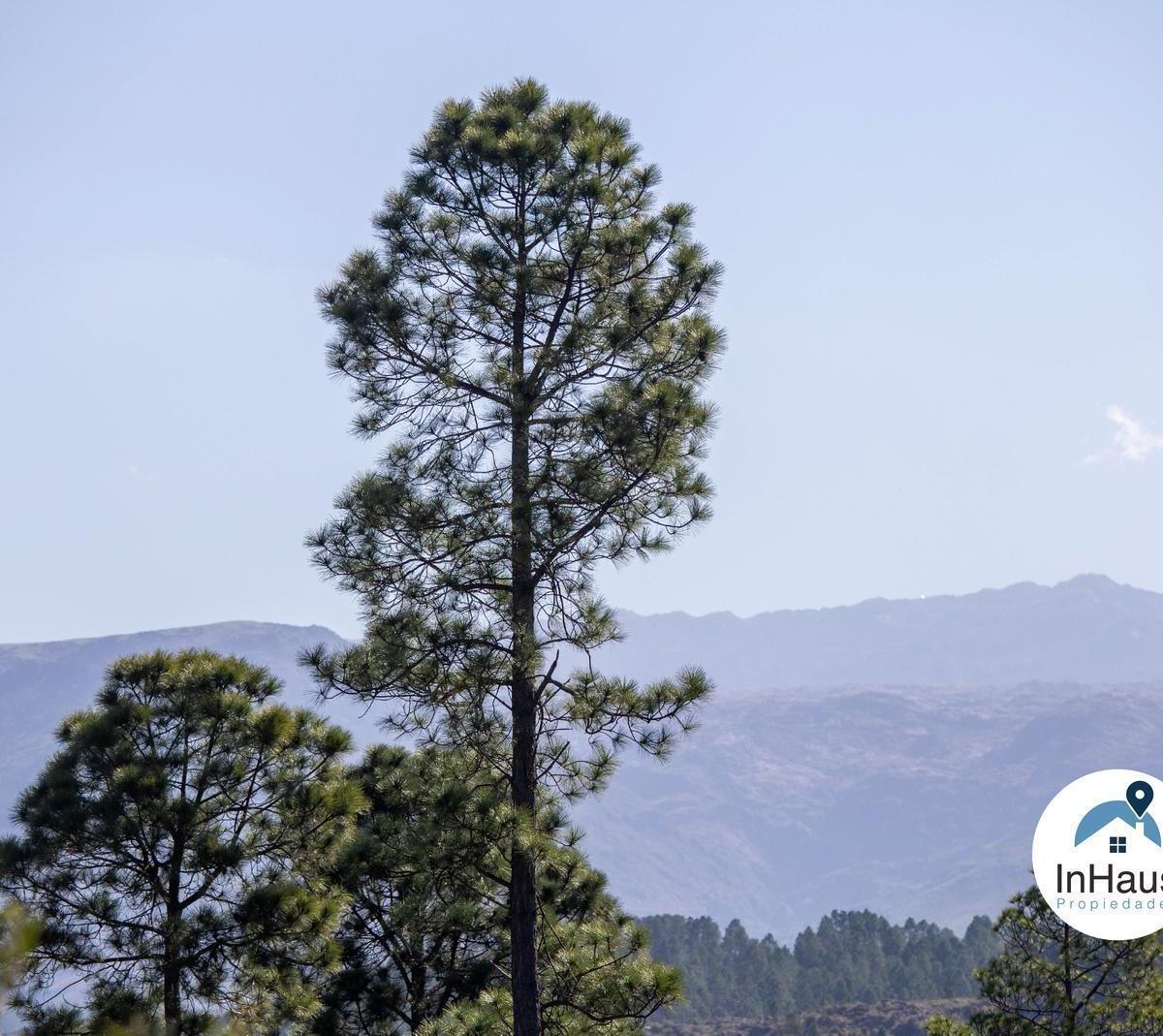 Terreno en Villa Berna con Excelente Ubicación y Vistas 4