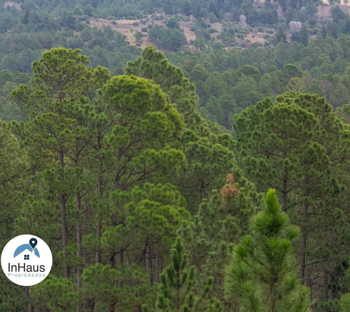 105 Ha en Intiyaco con Excelentes Vistas y Cercano Al Rio 5