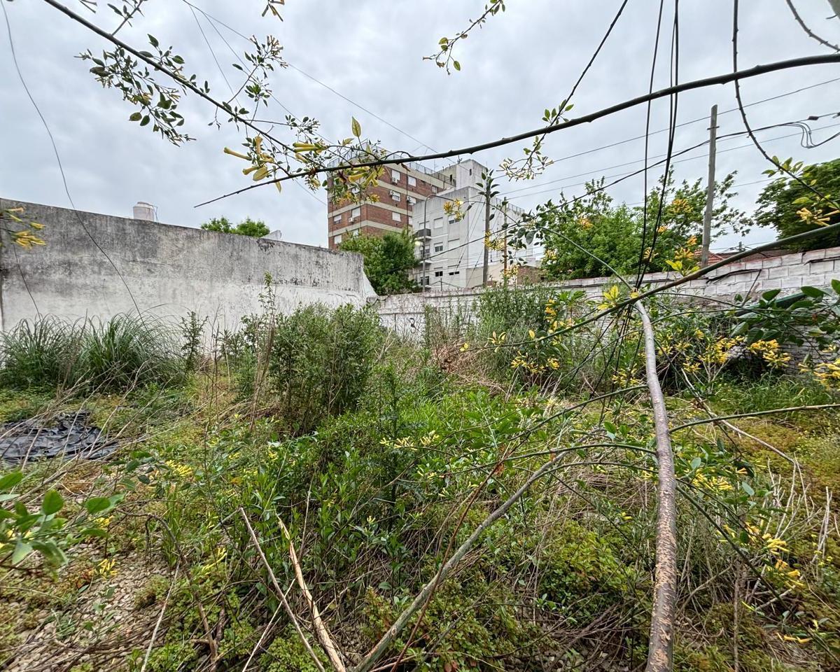 19 Esquina 33 3