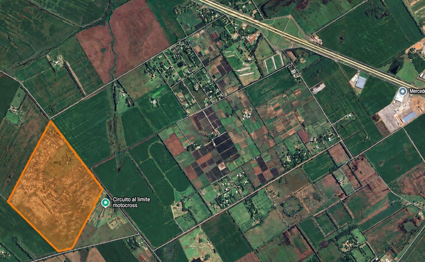 Foto de Campo en Zárate - 40 hectáreas, imagen 1