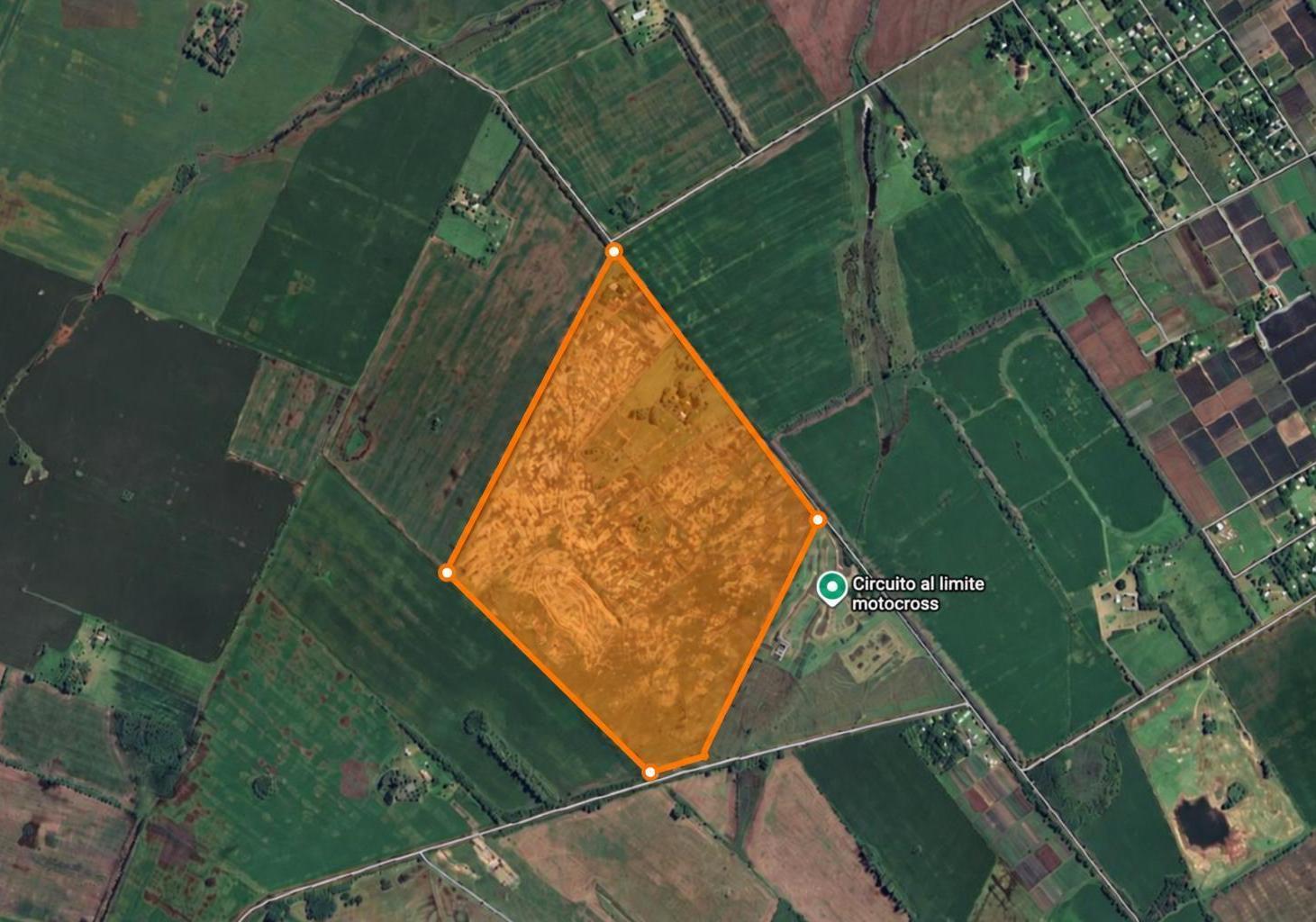 Foto de Campo en Zárate - 40 hectáreas, imagen 3