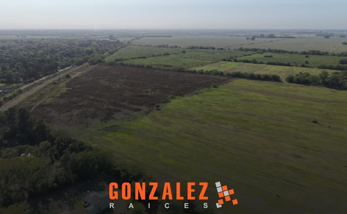 Foto de Campo en 20 de junio - 30 Hectáreas, imagen 1