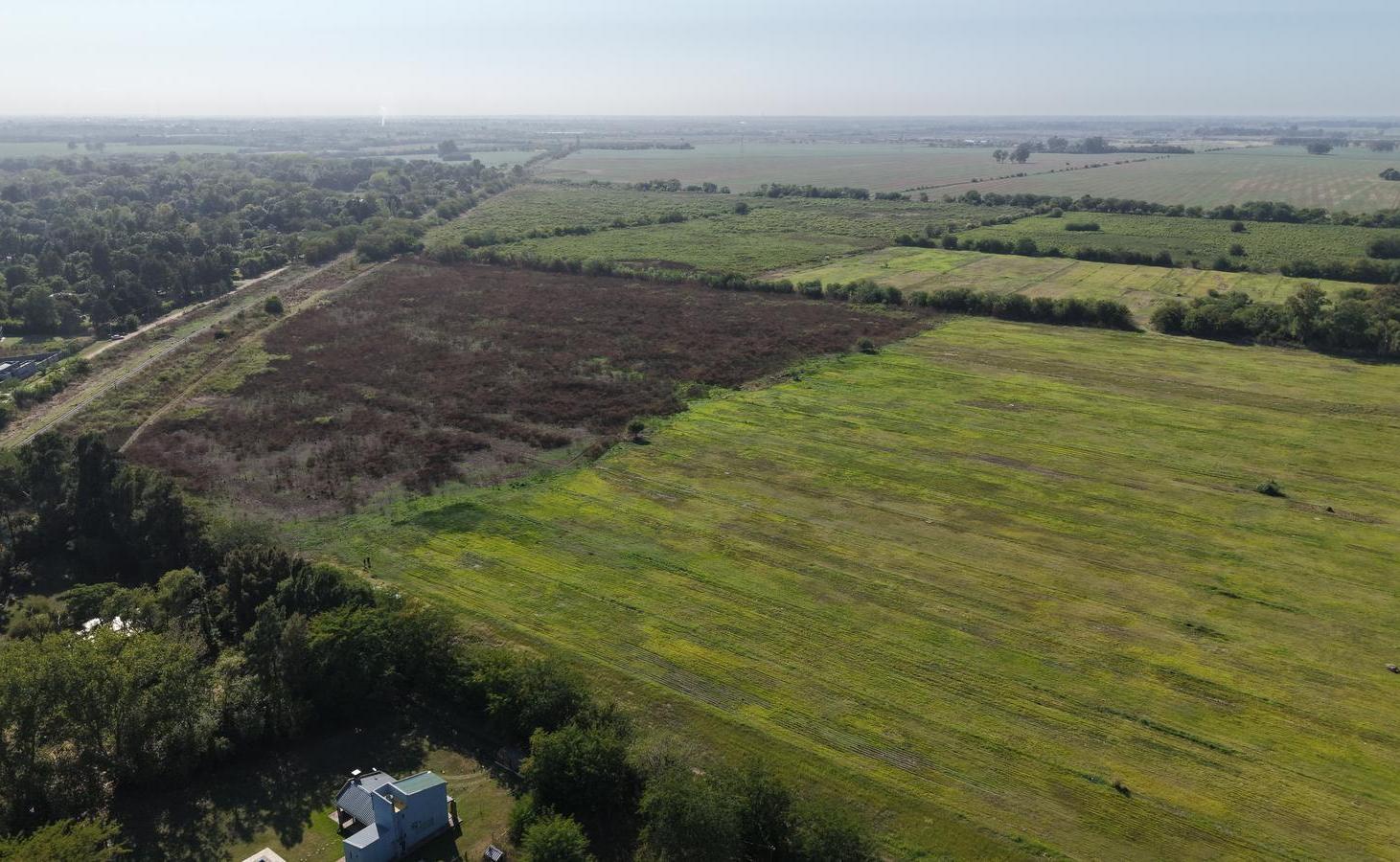 Foto de Campo en 20 de junio - 30 Hectáreas, imagen 4