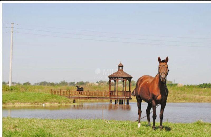 Venta de Lote en Haras San Pablo - General Rodriguez