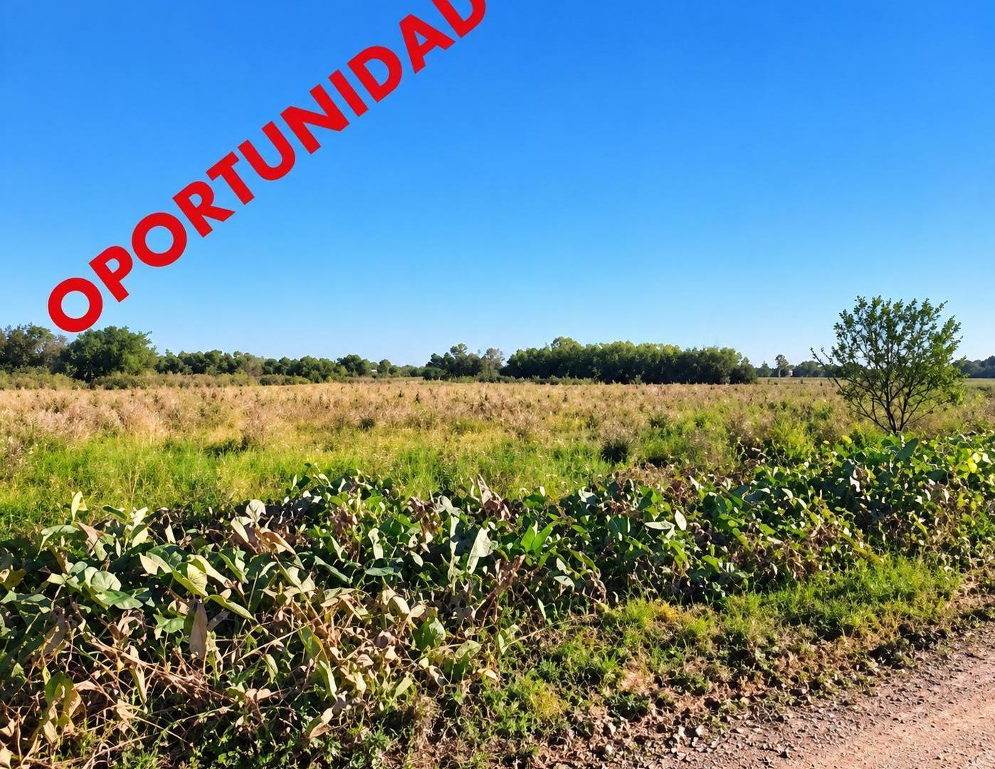 Foto de Terreno en Santa Fe, imagen 2