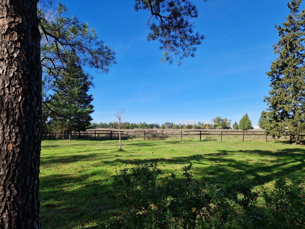 Venta Campo Chascomús, Aprob. Para Club de Campo 3