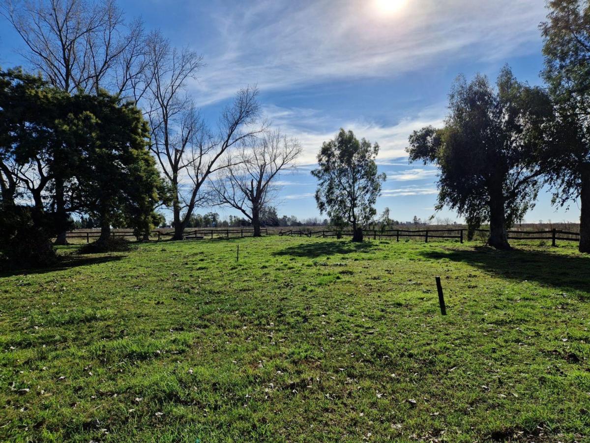 Venta Campo Chascomús, Aprob. Para Club de Campo 1