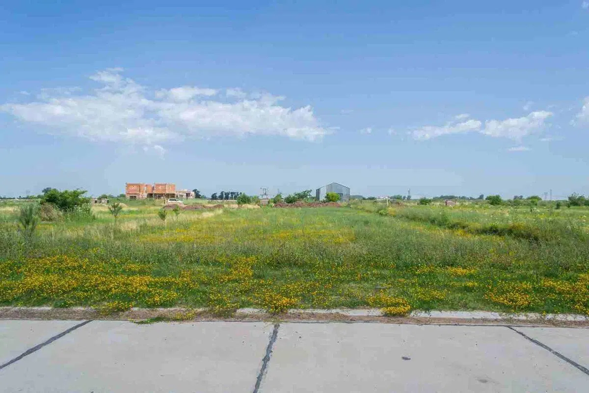 LOTE SAINT THOMAS CHICO CANNING EN VENTA 4