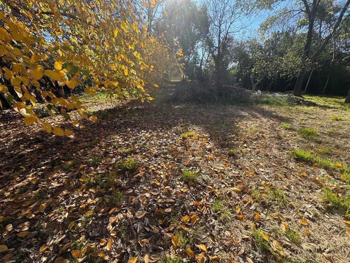 LOTE EN VENTA EN GENERAL RODRIGUEZ 2