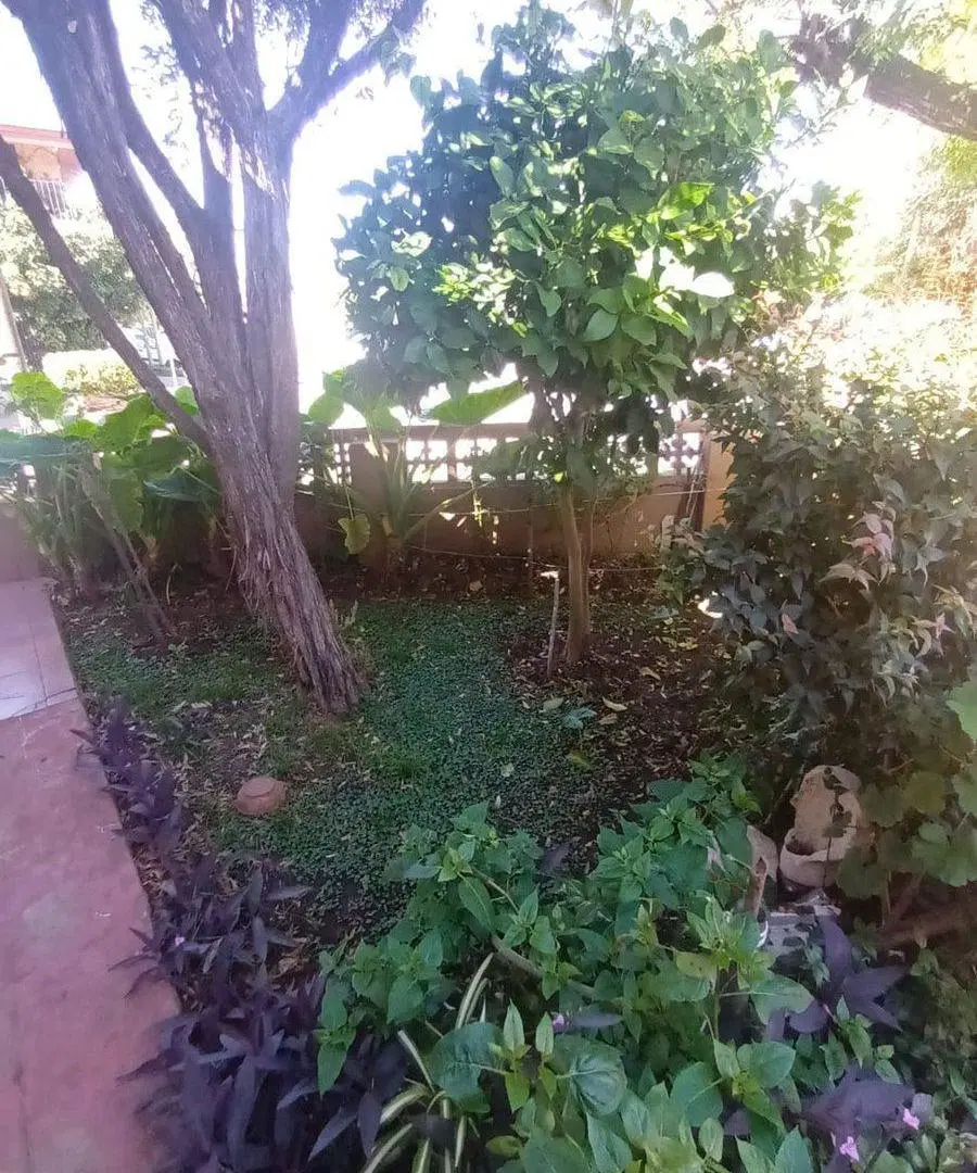 VENTA CASA 3 AMBIENTES EN LOMA HERMOSA 8