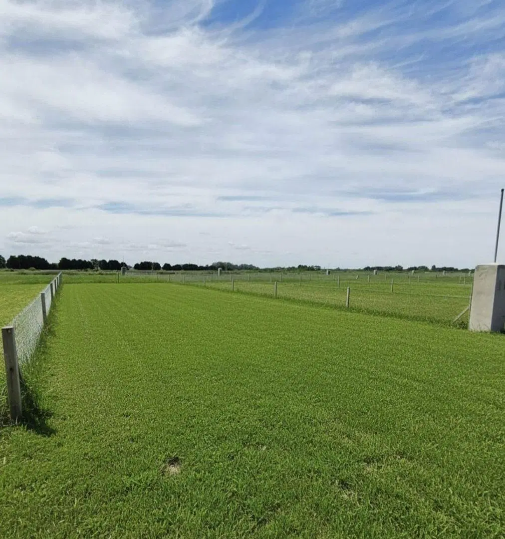 VENTA LOTE 300 M2 EN GENERAL RODRIGUEZ 8