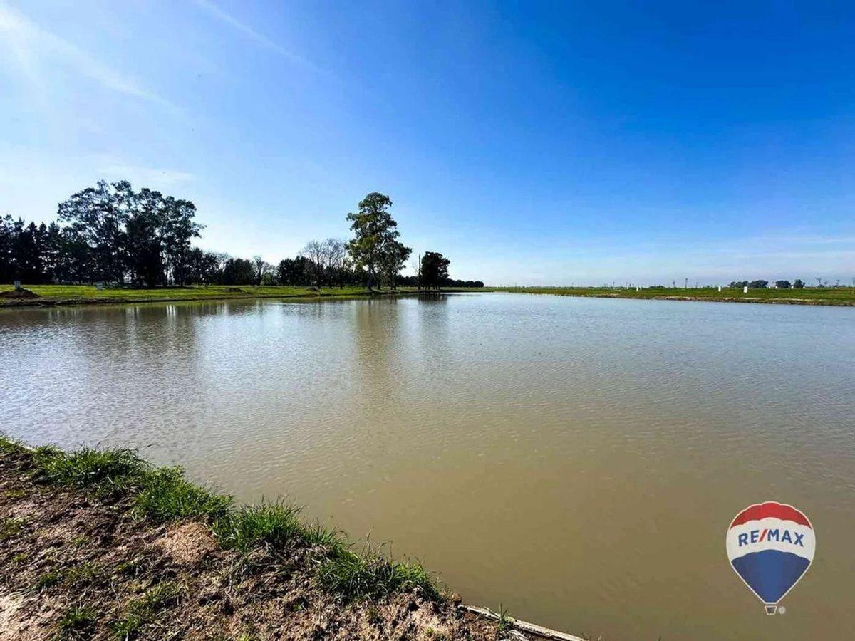 Foto de VENTA LOTE ETAPA 1 EN LAS VICTORIAS, imagen 3