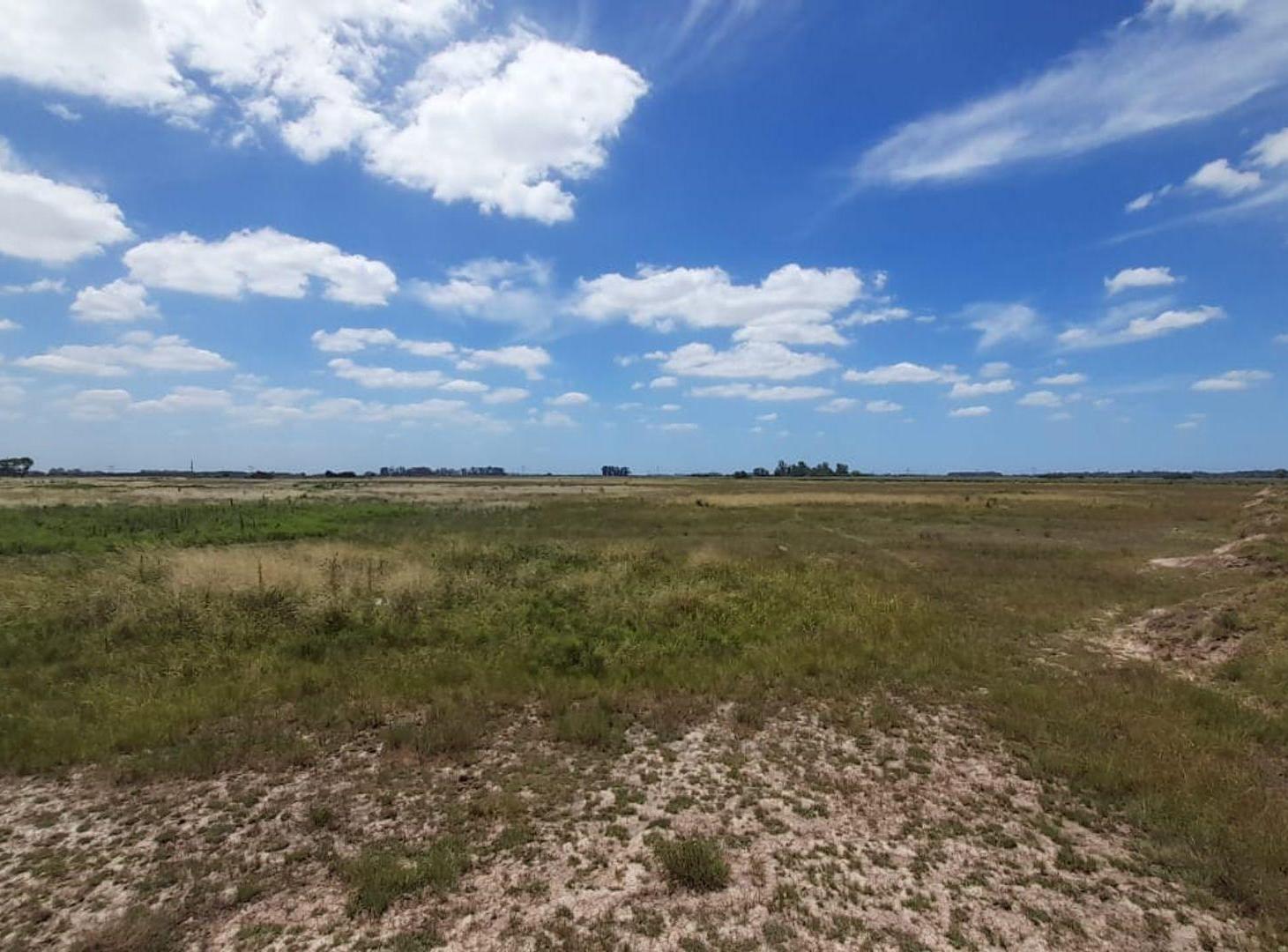 Foto de LOTE 3 HCT EN VENTA EN SAN VICENTE APTO CREDITO, imagen 5