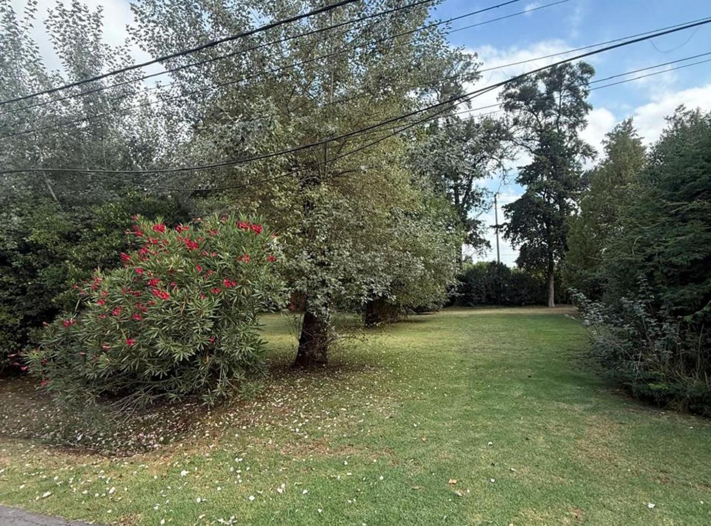 Foto de LOTE - CLUB DE CAMPO CARDENAL DEL MONTE, imagen 4