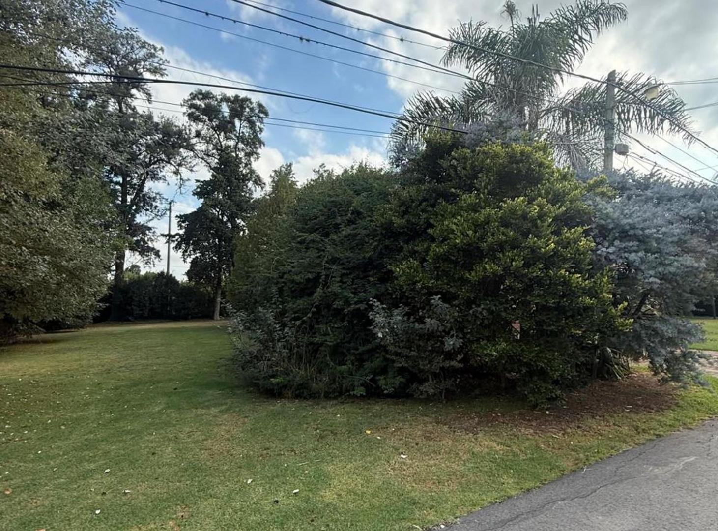 Foto de LOTE - CLUB DE CAMPO CARDENAL DEL MONTE, imagen 2