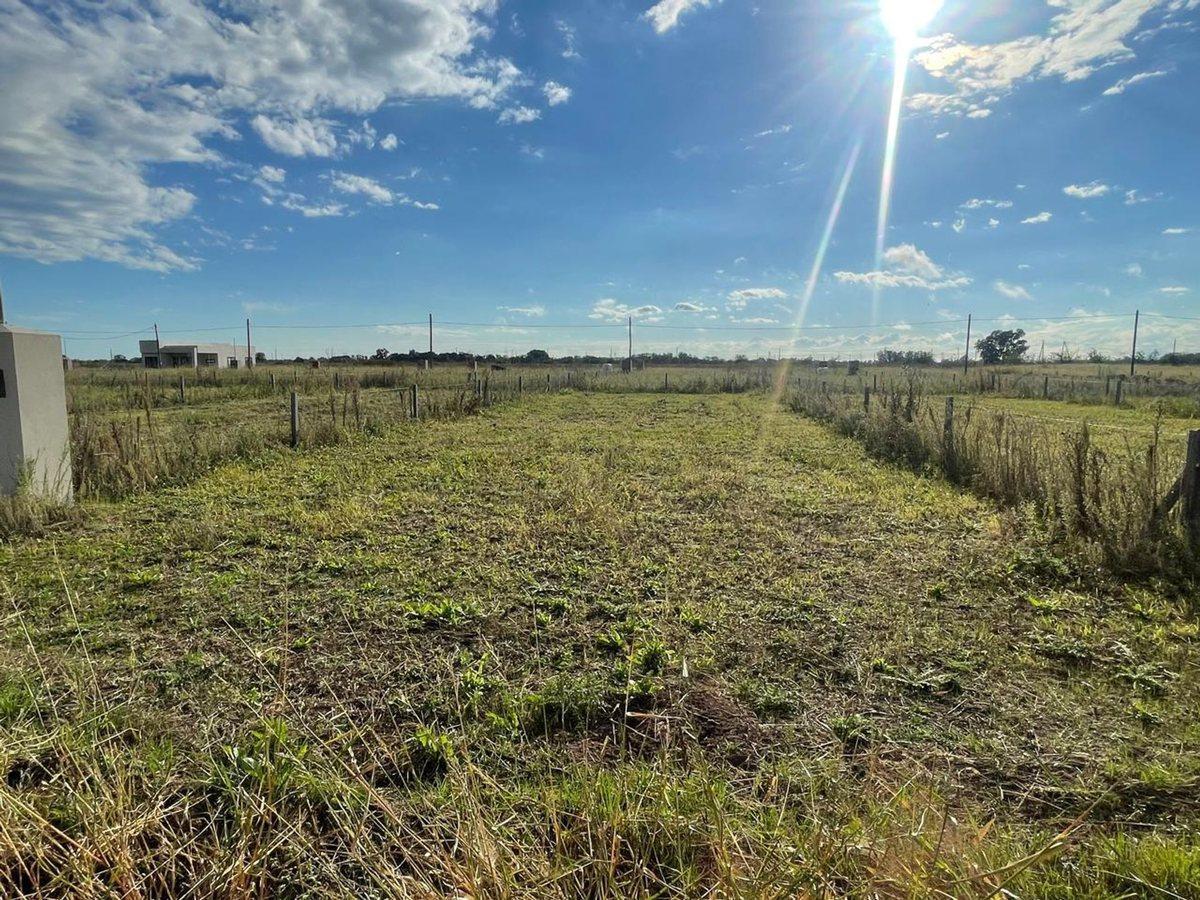 Foto de VENTA LOTE 300 M2 EN GRAL RODRIGUEZ FINANCIACION, imagen 1