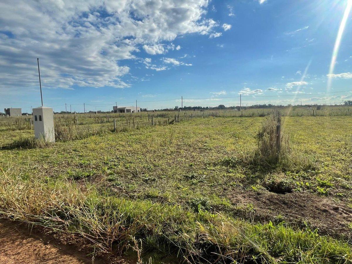 Foto de VENTA LOTE 300 M2 EN GRAL RODRIGUEZ FINANCIACION, imagen 2