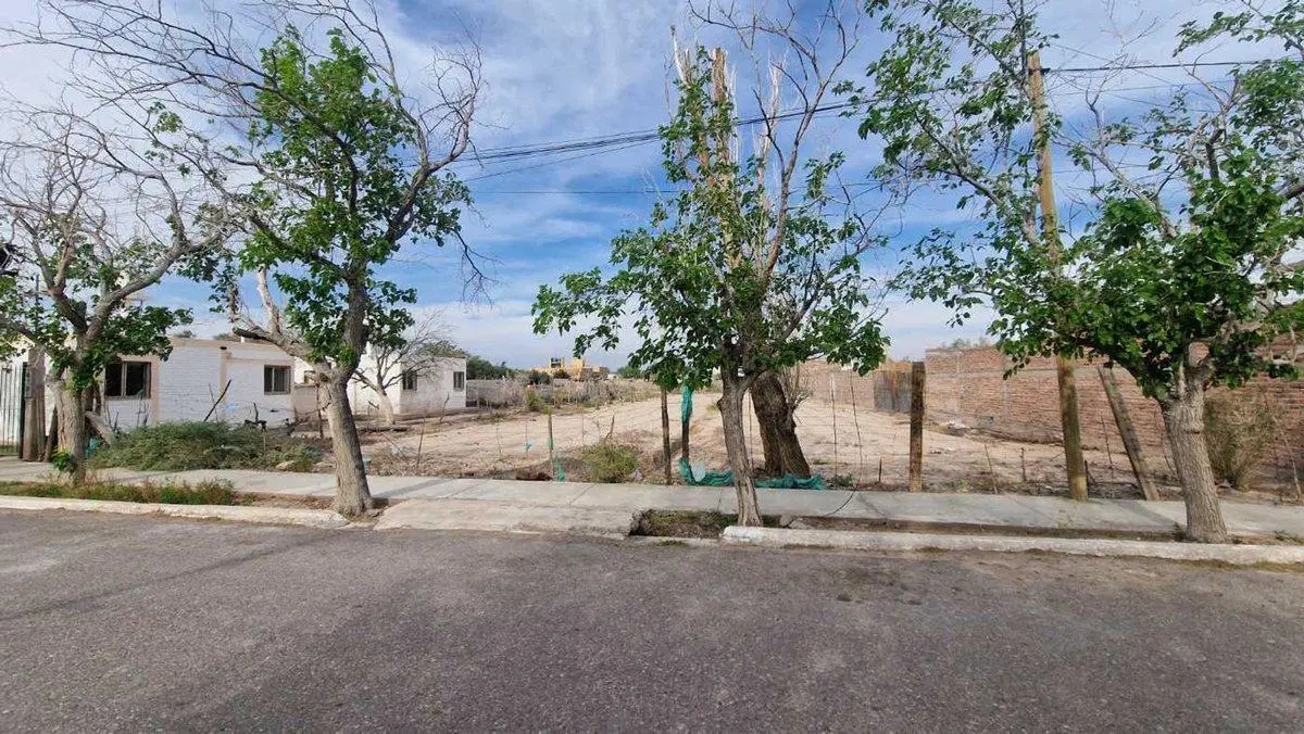 VENTA GRAN TERRENO 2347 M2 POCITO CENTRO 3