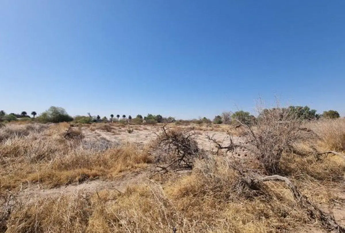 VENTA TERRENO 11396 M2, RINCONADA, POCITO 4