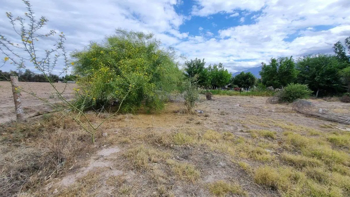 Terreno de 2.988 m2. Quinto Cuartel, Pocito 2