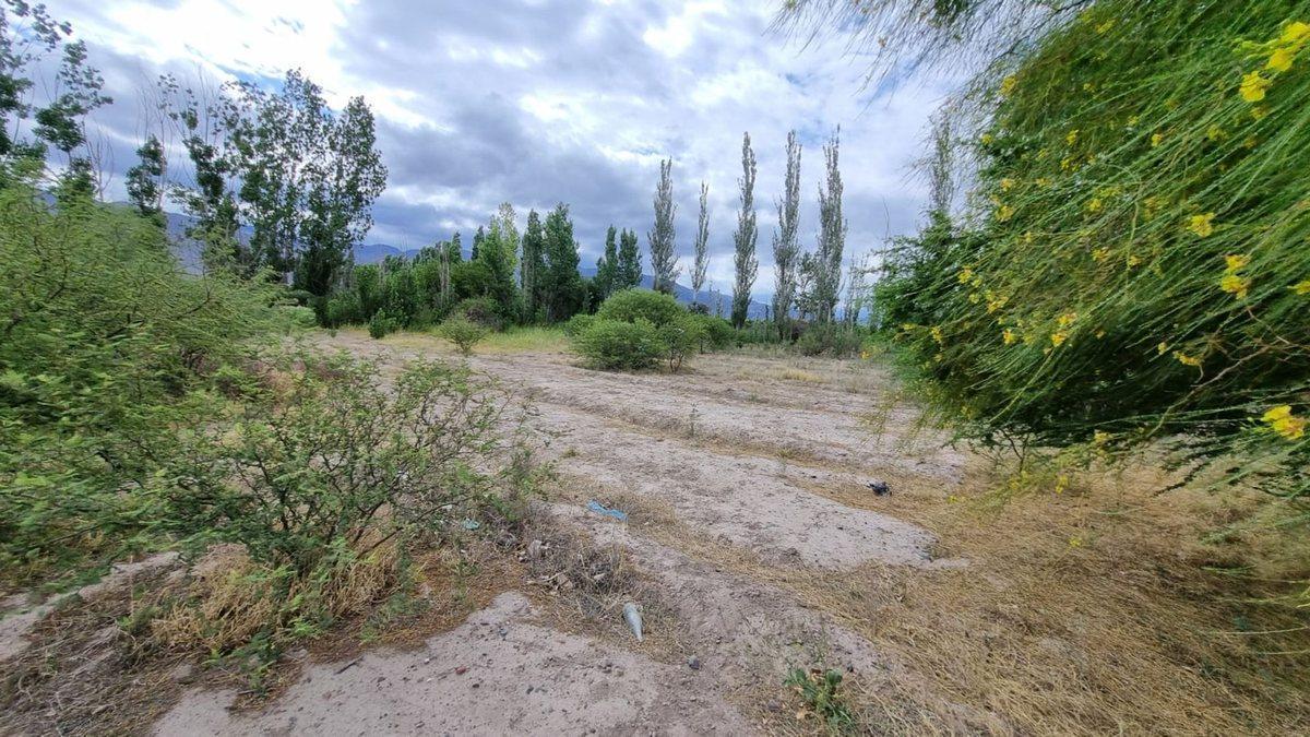 Terreno de 2.988 m2. Quinto Cuartel, Pocito