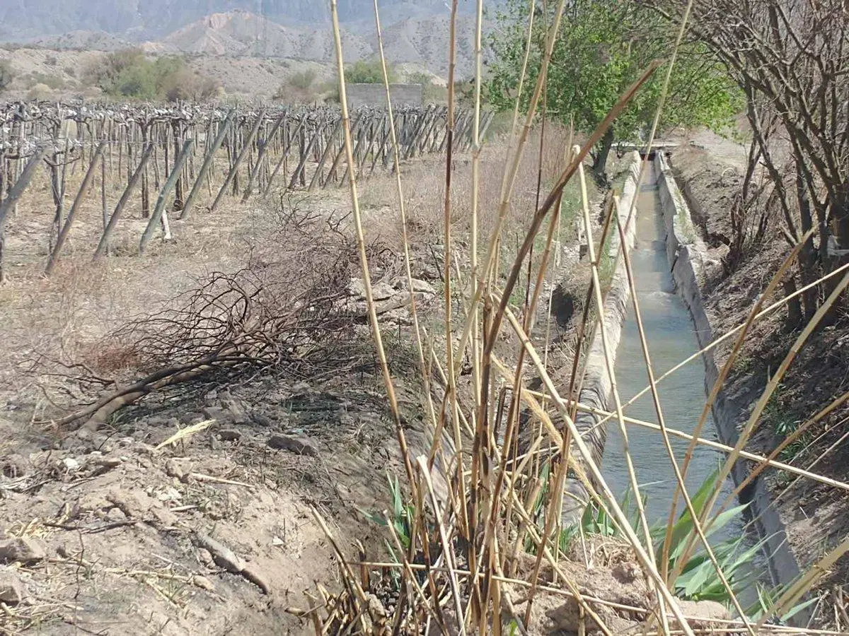 FINCA 6,49 HAS EN PRODUCCION, CARPINTERIA, POCITO 4