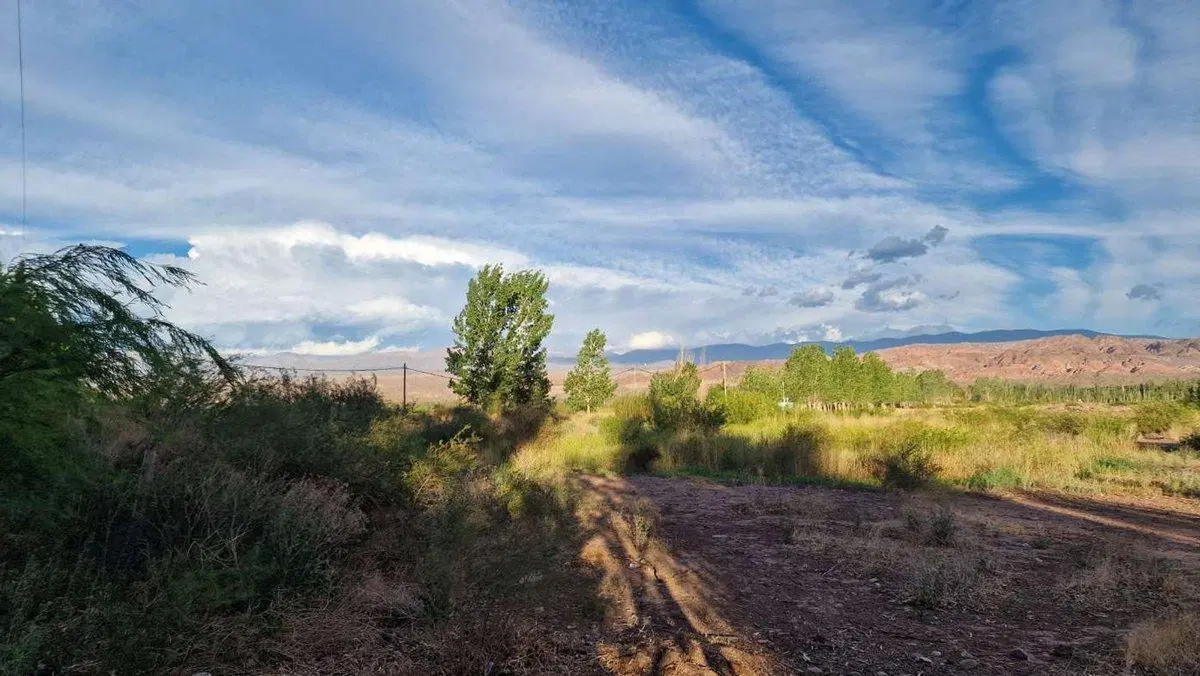 VENTA TERRENO 1.800 M2 BARREAL. ZONA PREMIUM 2