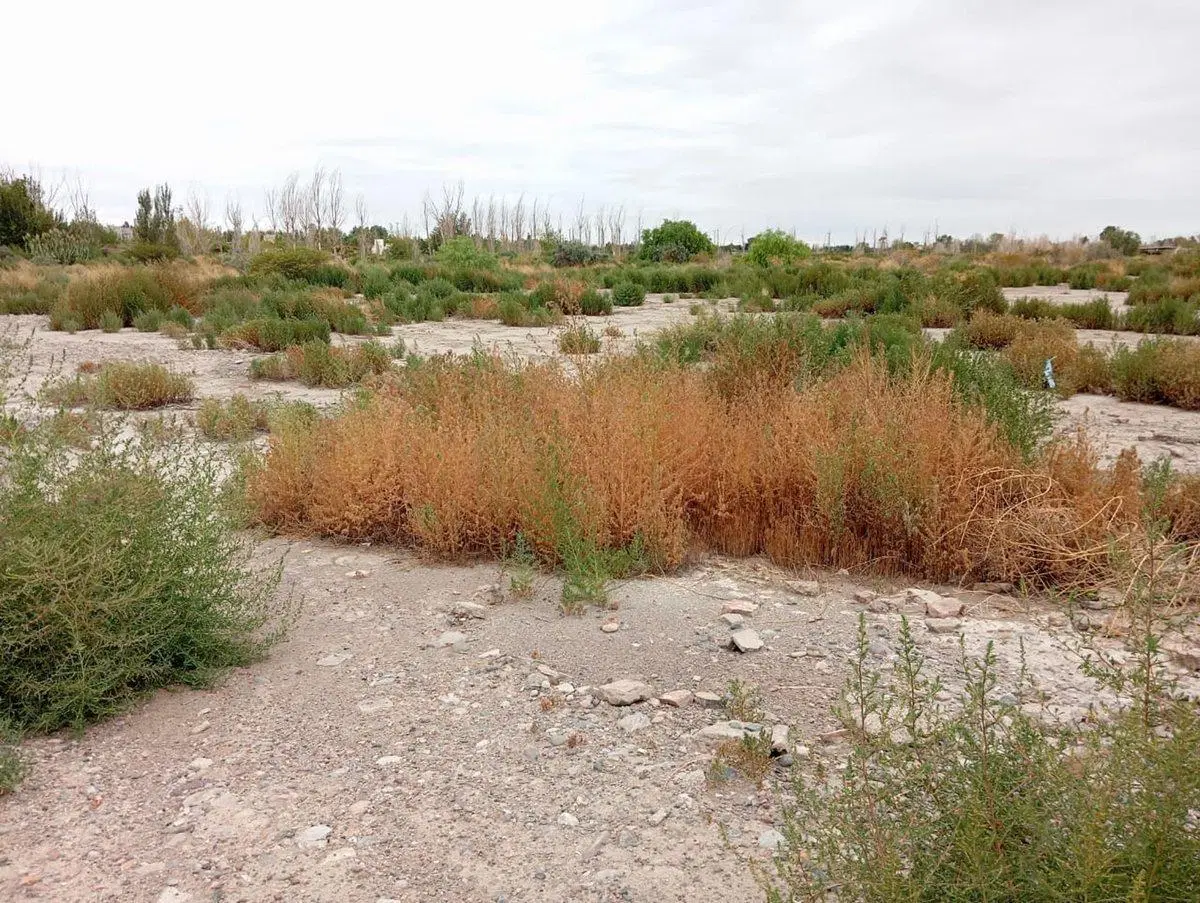 Terreno de 1320 m2, Zona Quinta La Berta, Rawson 4
