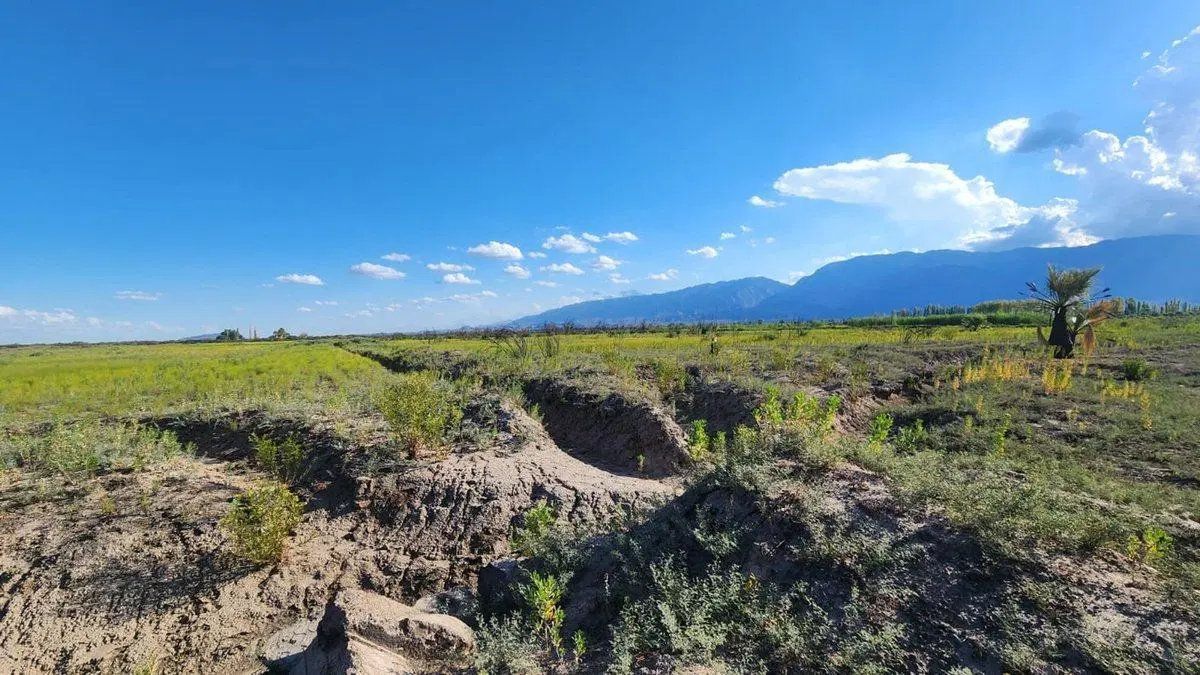 VENTA DE FINCA 7 HA POCITO 2