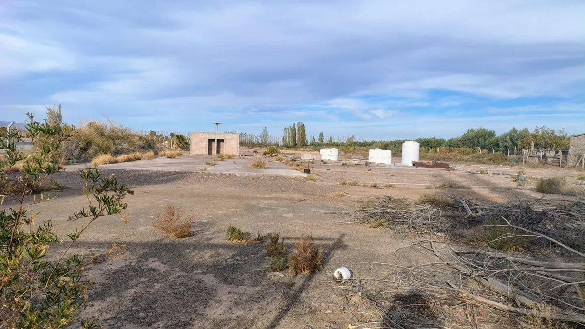 VENTA TERRENO 1,2 HAS EN CALLE MENDOZA POCITO 5