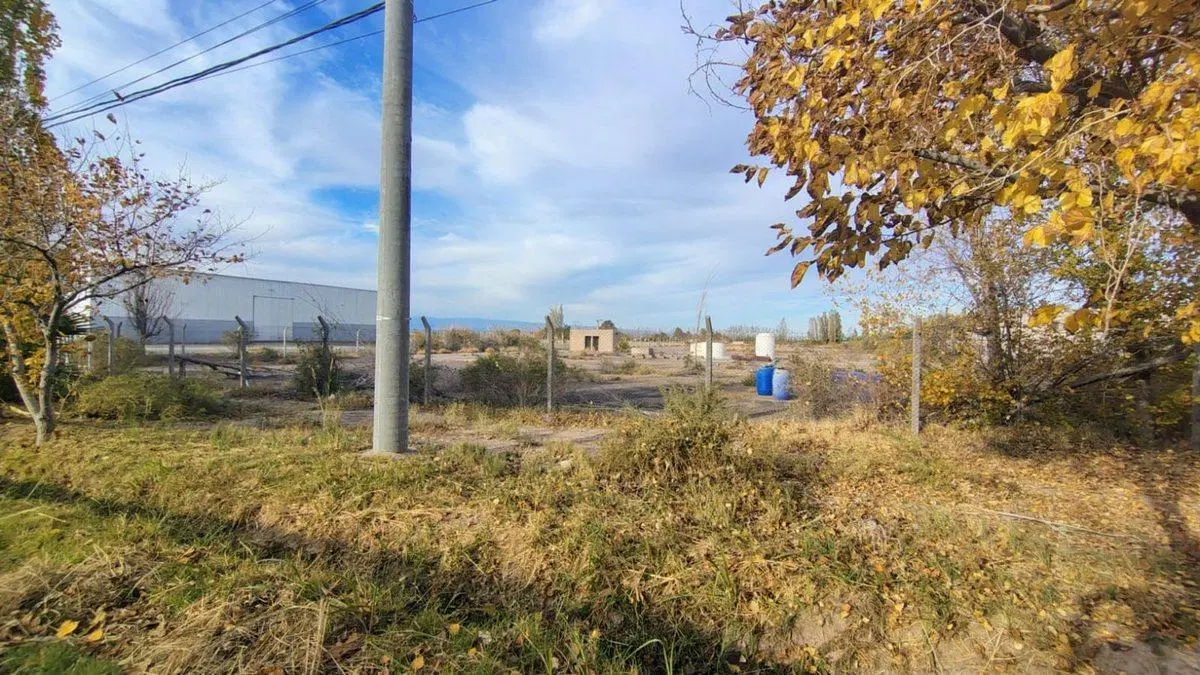 VENTA TERRENO 1,2 HAS EN CALLE MENDOZA POCITO 3