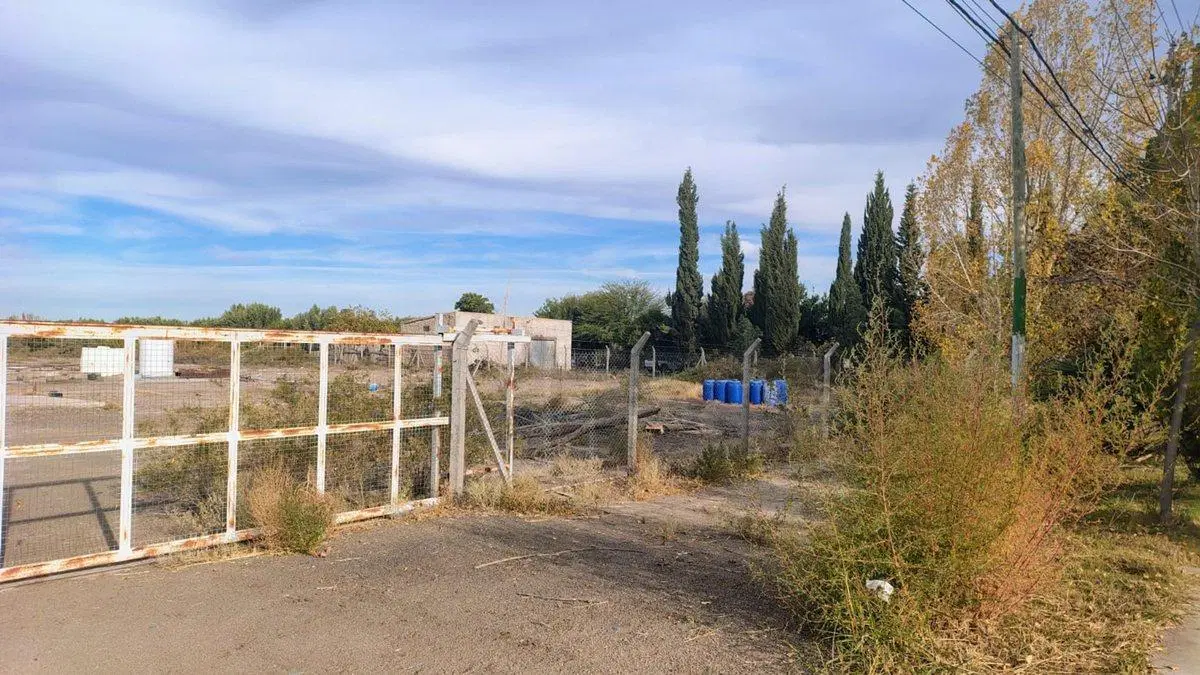 VENTA TERRENO 1,2 HAS EN CALLE MENDOZA POCITO 4