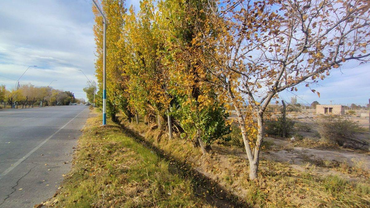 VENTA TERRENO 1,2 HAS EN CALLE MENDOZA POCITO