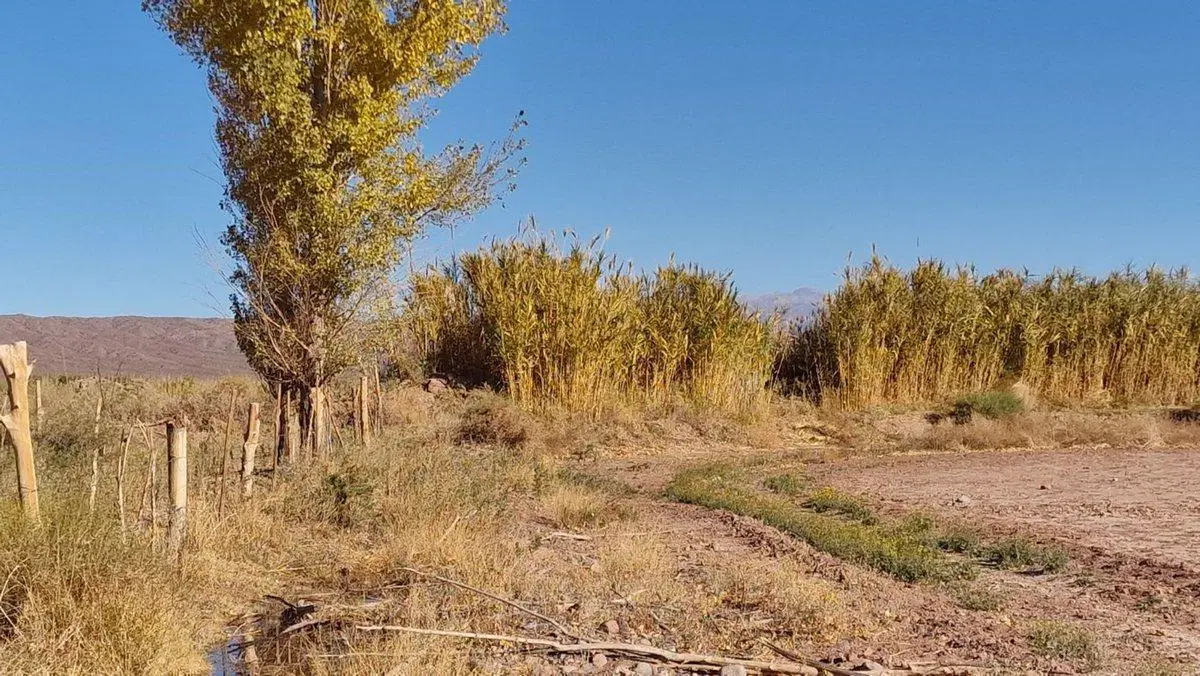 VENTA GRAN TERRENO 1,12 HAS EN BARREAL SUR 5