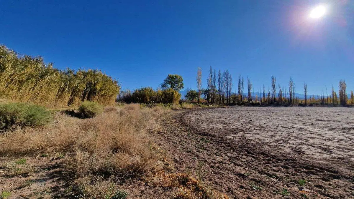 VENTA GRAN TERRENO 1,12 HAS EN BARREAL SUR 4